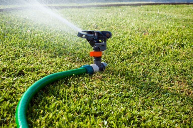How Often to Water Grass Seed: The Science of Keeping Your Lawn Healthy