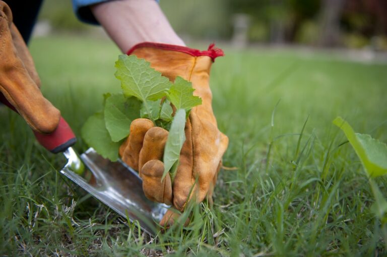 How to Kill Weeds Without Weed Killer: 5 Eco-Friendly Solutions