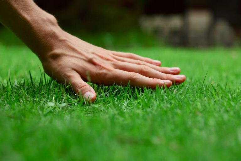 How to Prepare Soil for Grass Seed: The Secret to Having a Beautiful Lawn