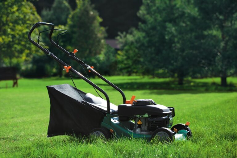A Safe Guide on How to Sharpen Lawn Mower Blades