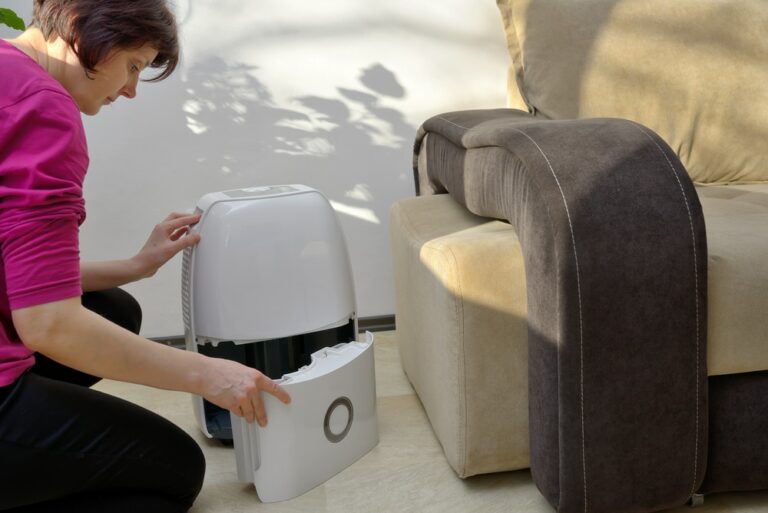 A Beginner’s Guide on How to Use a Dehumidifier