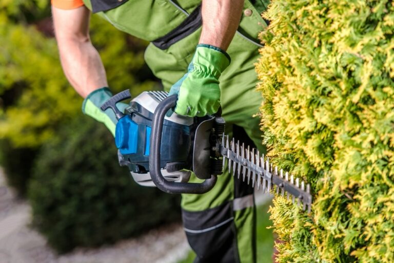 How to Use a Hedge Trimmer to Keep Your Garden Gorgeous