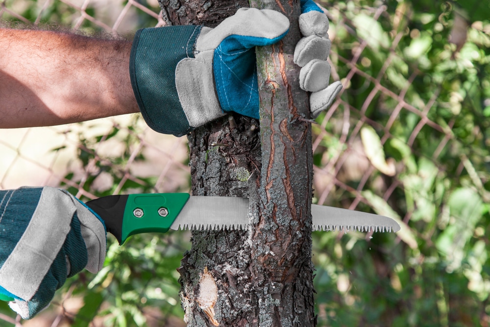 what is a pruning saw