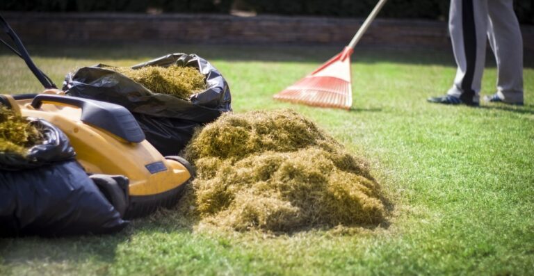 Garden 101: What is the Difference Between a Lawn Rake and a Lawn Scarifier