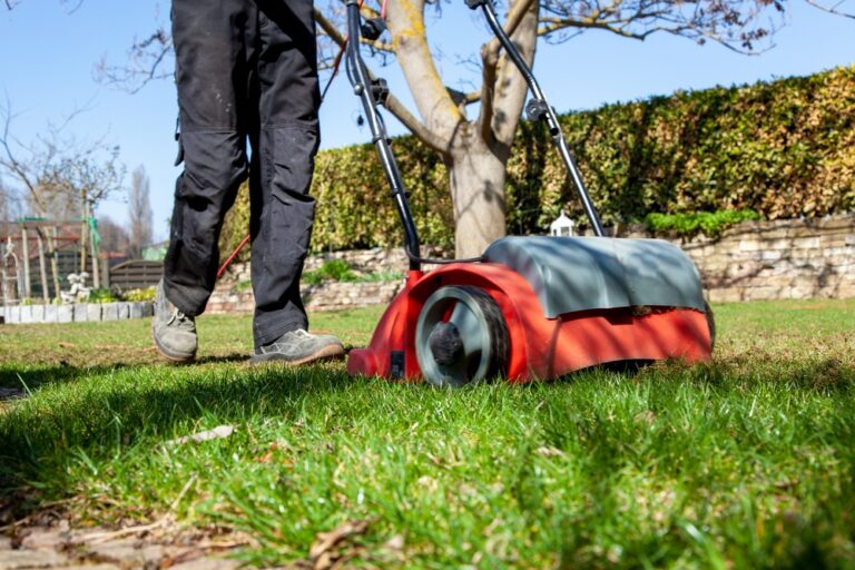 When to Use a Lawn Scarifier for a Healthy Garden