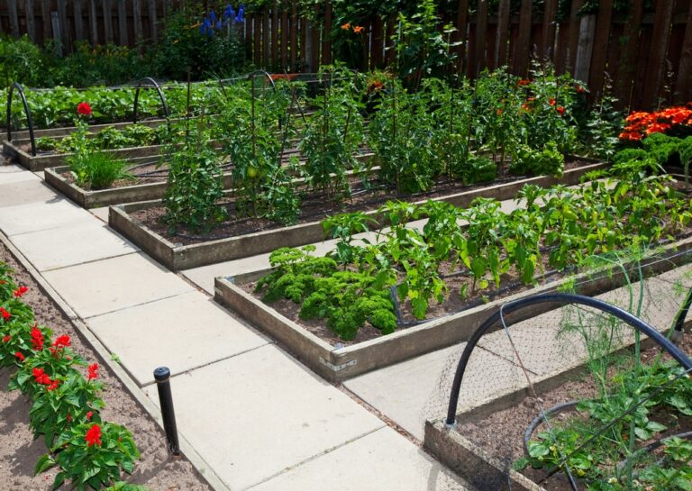 DIY Gardening 101: How to Build a Raised Garden Bed