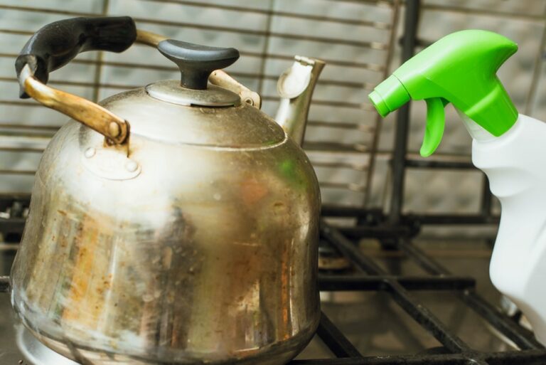 How to Descale a Kettle: Tips for Beginners