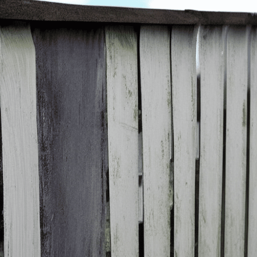 How to Remove Fence Paint in Easy Steps Flashy House