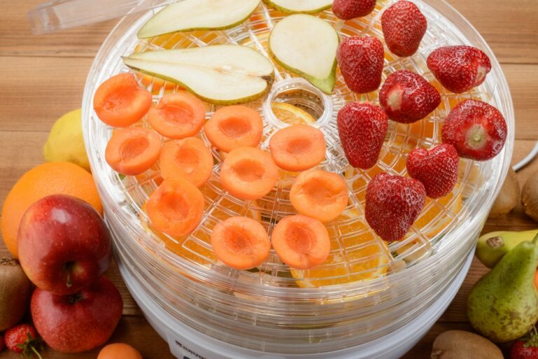 What Can You Put In a Food Dehydrator: Kitchen Hacks
