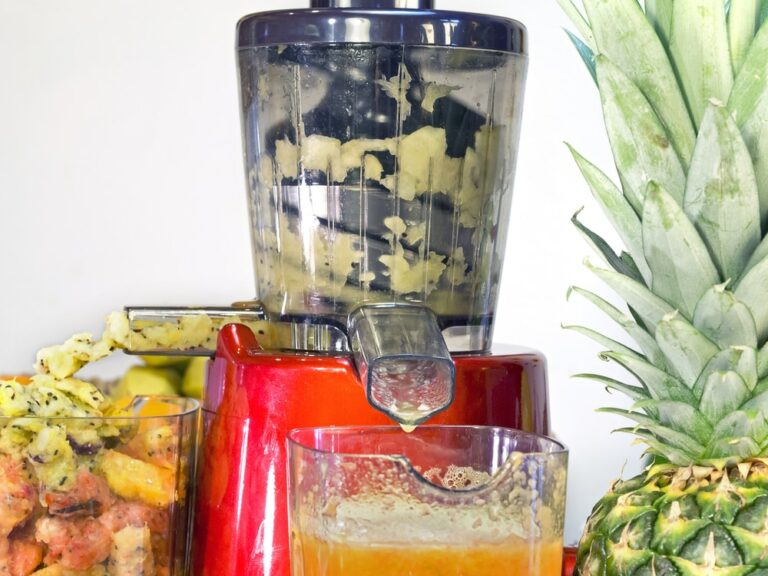 13 Awesome Ways on What to Do With Juicer Pulp