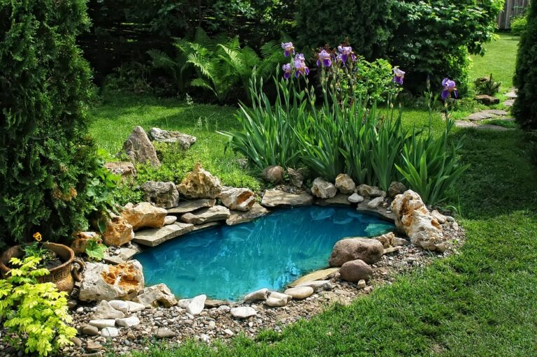 How to Build a Small Garden Pond Easily and Beautifully