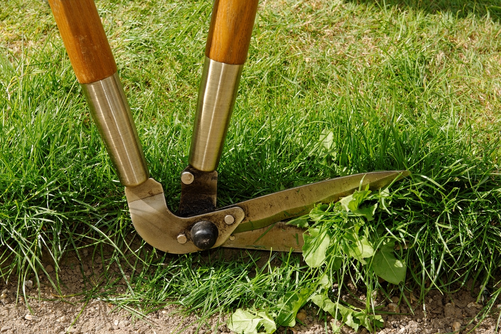 how to sharpen garden edging shears