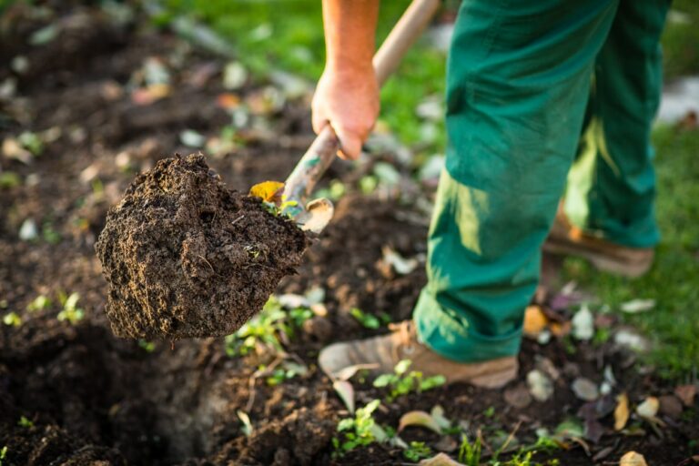 How to Use a Garden Spade: The Key to the Perfect Garden Bed
