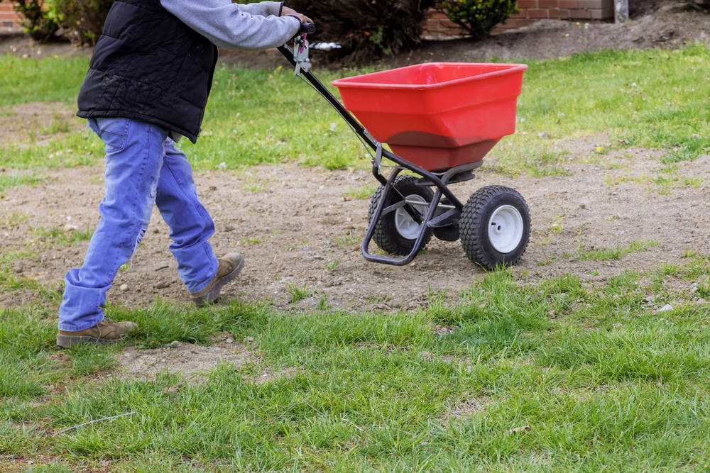 man using drop spreader to sow grass seeds