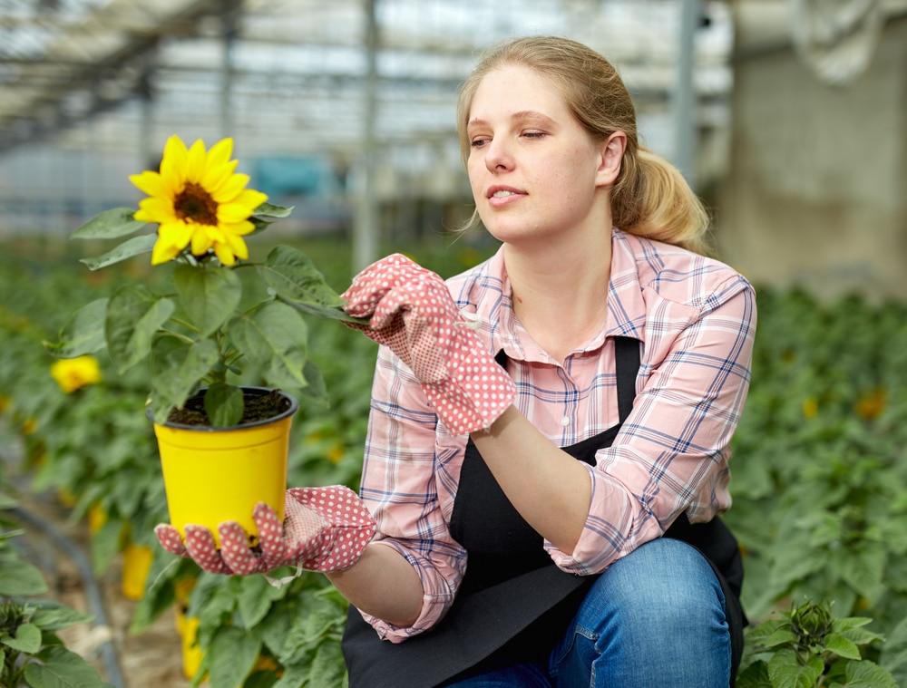 young womand holding a pot of flowering plant