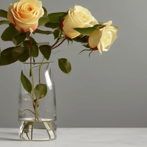 yellow roses in a glass vase