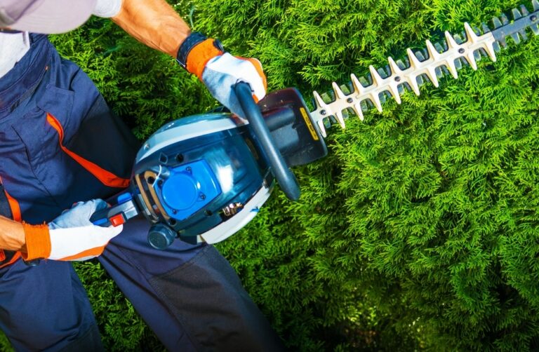 Why Won’t My Hedge Trimmer Start? Here’s What to Do!