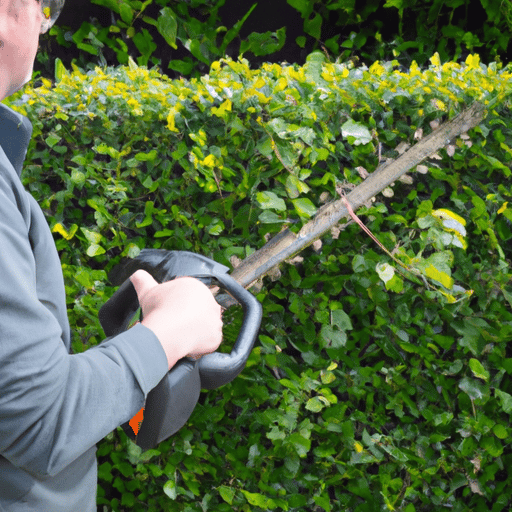 a person trimming the bush