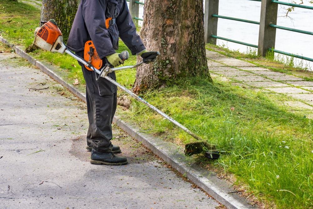 Compare the pros and cons of a grass trimmer vs brush cutter to help you decide which is best suited for your home and garden needs. Get the best solution now!