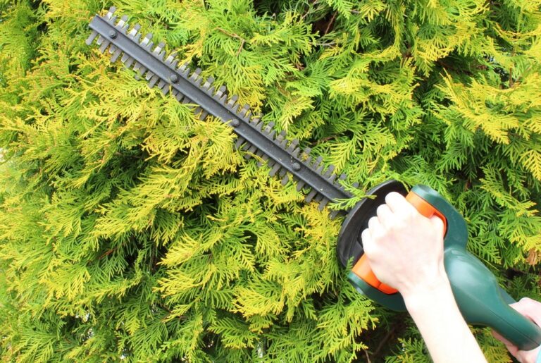 Hedge Trimmer vs Chainsaw: Which Is Best for Your Garden?