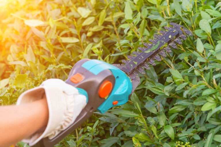 How to Fix a Jammed Hedge Trimmer: A Step-by-Step Guide