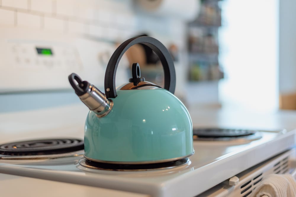 kettle vs teapot