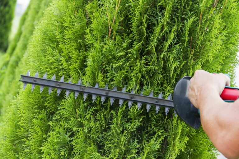 What’s the Difference Between a Hedge Trimmer and a Hedge Cutter