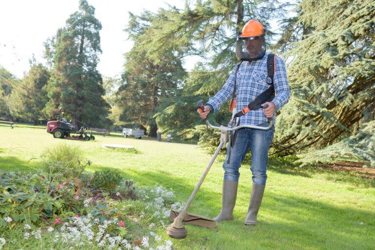 Uncovering the Mystery: When Was the Strimmer Invented?